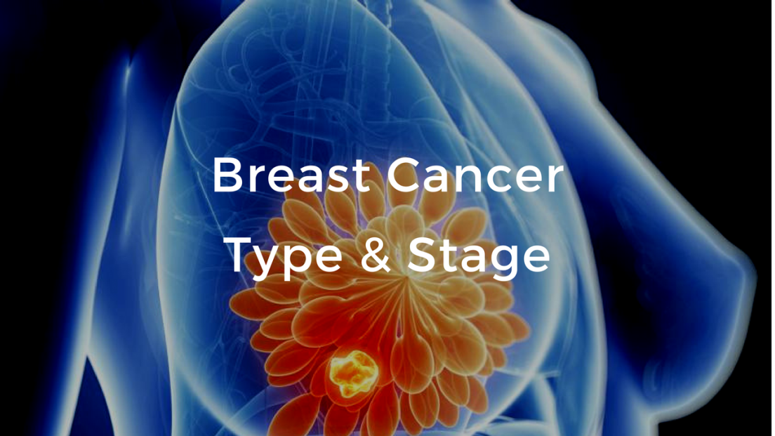 breast-cancer-basics-video-course-breast-cancer-school-for-patients