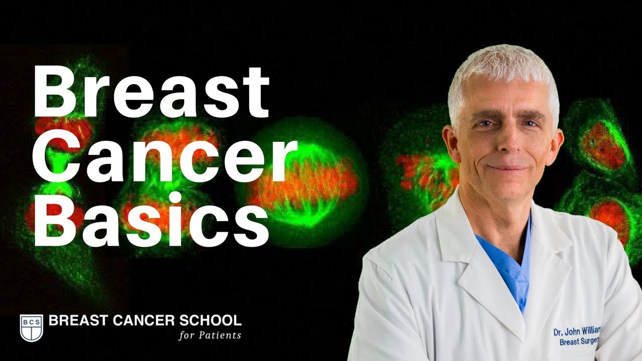 Breast Cancer Basics Video Course: Breast Cancer School For Patients