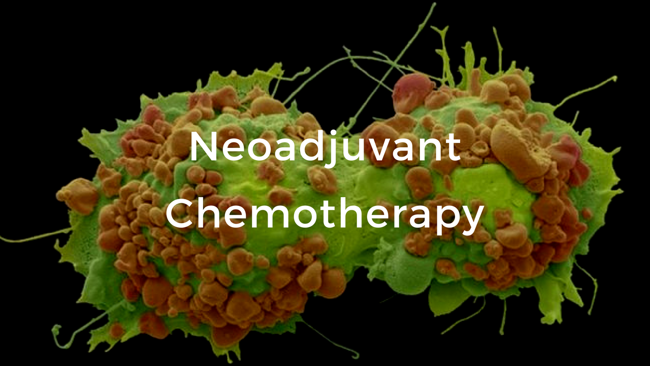 neoadjuvant-chemotherapy-the-breast-cancer-school-for-patients