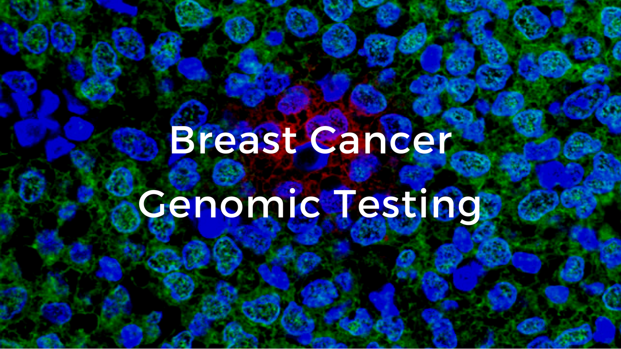 Genomic Testing The Breast Cancer School For Patients