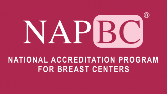 Medical Oncology Course: The Breast Cancer School For Patients