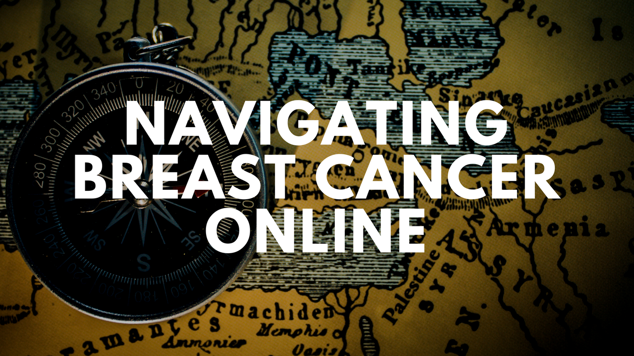 Learning Breast Cancer Online: The Breast Cancer School For Patients